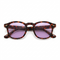 Tortoise Purple Tint