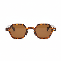 Tortoise with Brown Lenses